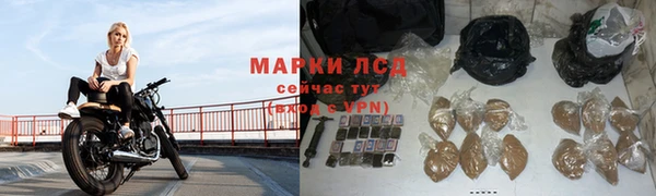 стафф Магадан