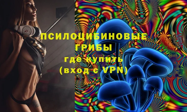 стафф Магадан