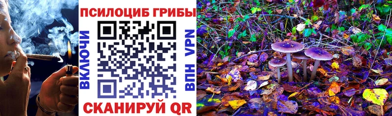 Галлюциногенные грибы прущие грибы  Талдом 